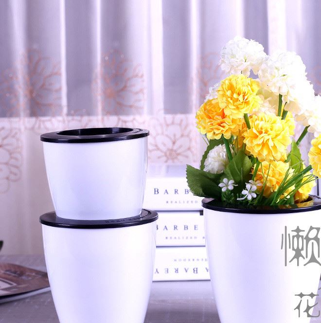 懶人花盆 自動(dòng)吸水仿陶樹脂花盆 個(gè)性水培塑料花盆黑白彩色恐龍蛋示例圖1