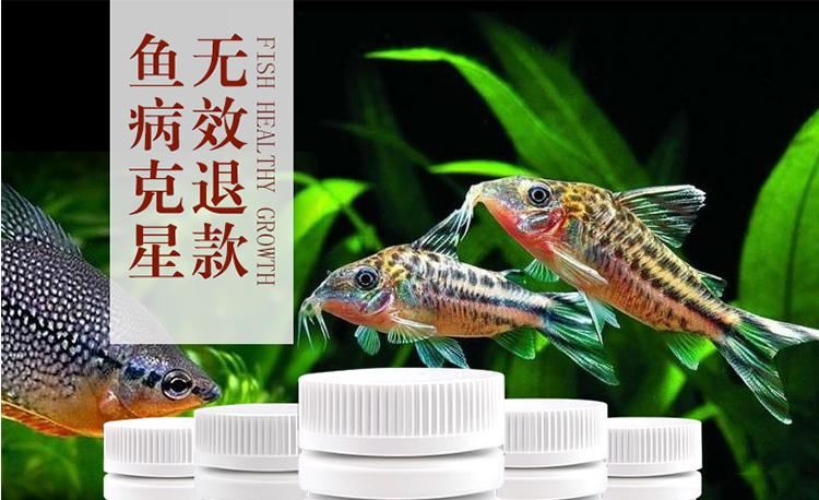 魚(yú)藥藥 白點(diǎn)病外寄生蟲(chóng)腸炎觀(guān)賞魚(yú)水族殺菌 魚(yú)藥示例圖1