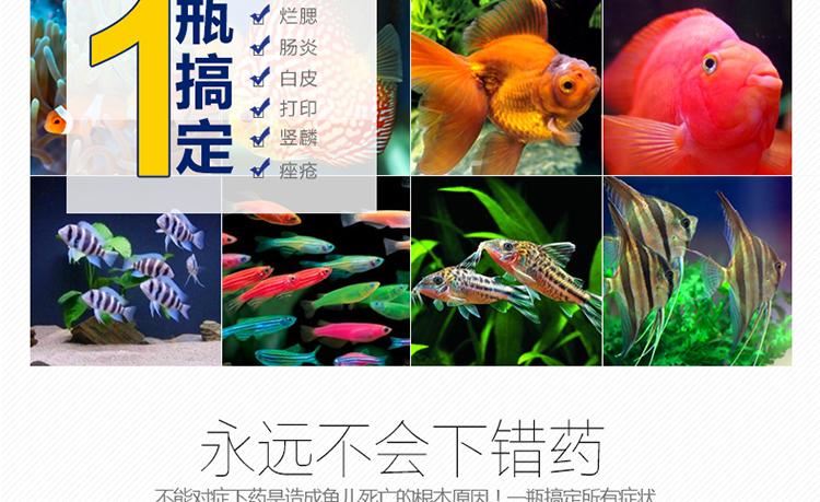 魚(yú)藥藥 白點(diǎn)病外寄生蟲(chóng)腸炎觀(guān)賞魚(yú)水族殺菌 魚(yú)藥示例圖4