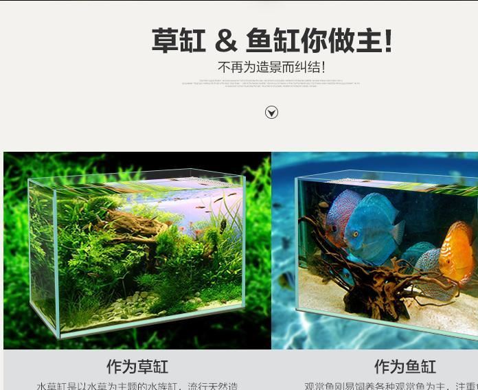 瘋狂水草超白缸玻璃魚缸造景生態(tài)水族箱迷你桌面小缸小型中型大型示例圖3