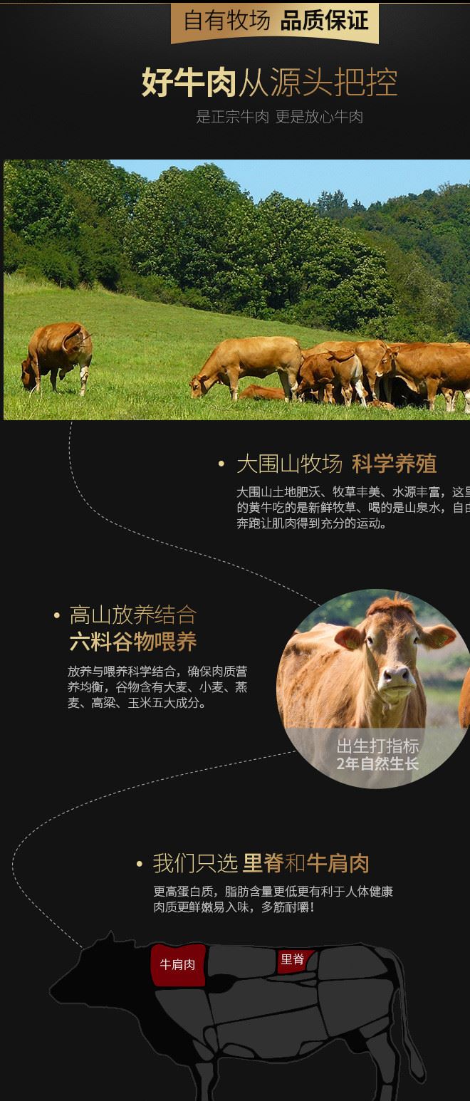 湖南香辣牛肉牙簽牛肉200g特色小吃網(wǎng)紅零食示例圖5