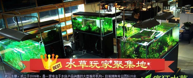 瘋狂水草二氧化碳鋼瓶 水草缸co2鋼瓶水族魚缸示例圖1