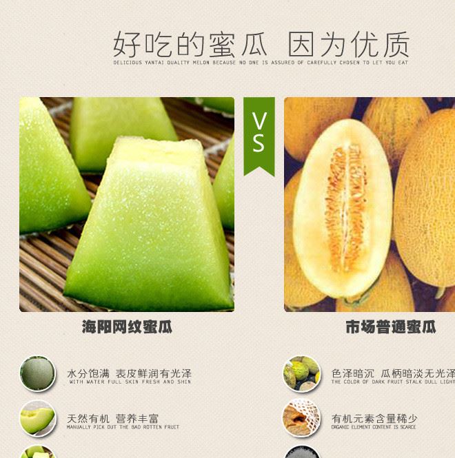 山东特产海阳网纹瓜新鲜水果香甜瓜香甜爽口2只装约5