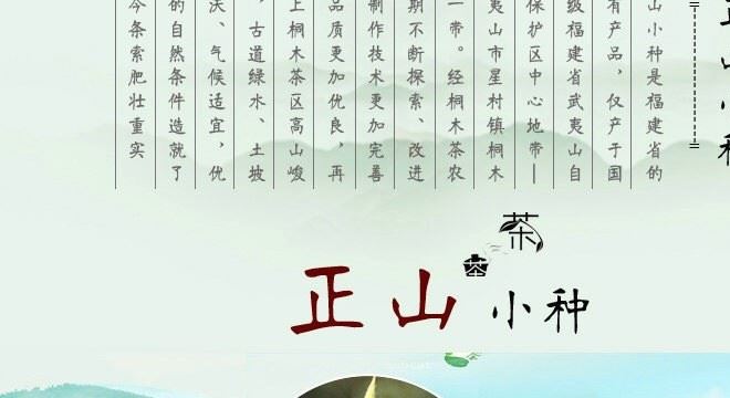 武夷巖茶 紅茶正山小種 武夷山桐木關(guān)特級春茶 正山小種500g簡裝示例圖5