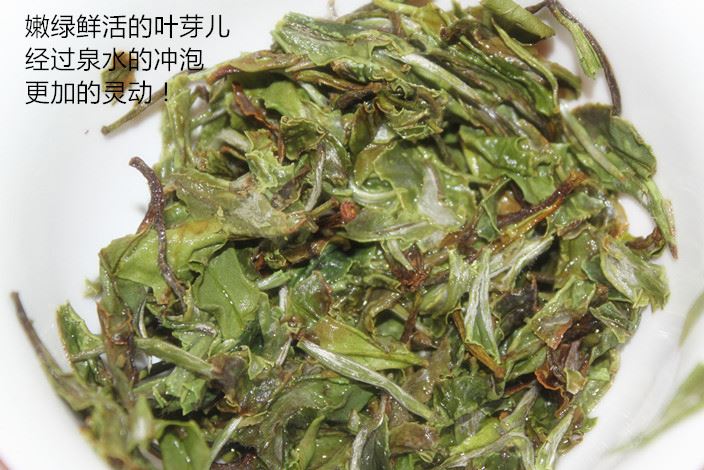 2016年新白茶-白牡丹茶示例圖3