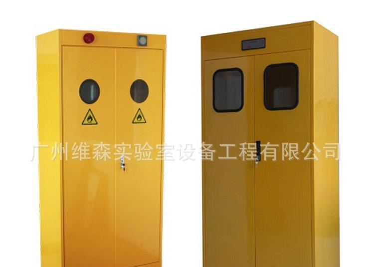 氣瓶柜 鋼瓶柜 實驗室設備 全鋼制實驗室家具廠家 工廠直銷示例圖2