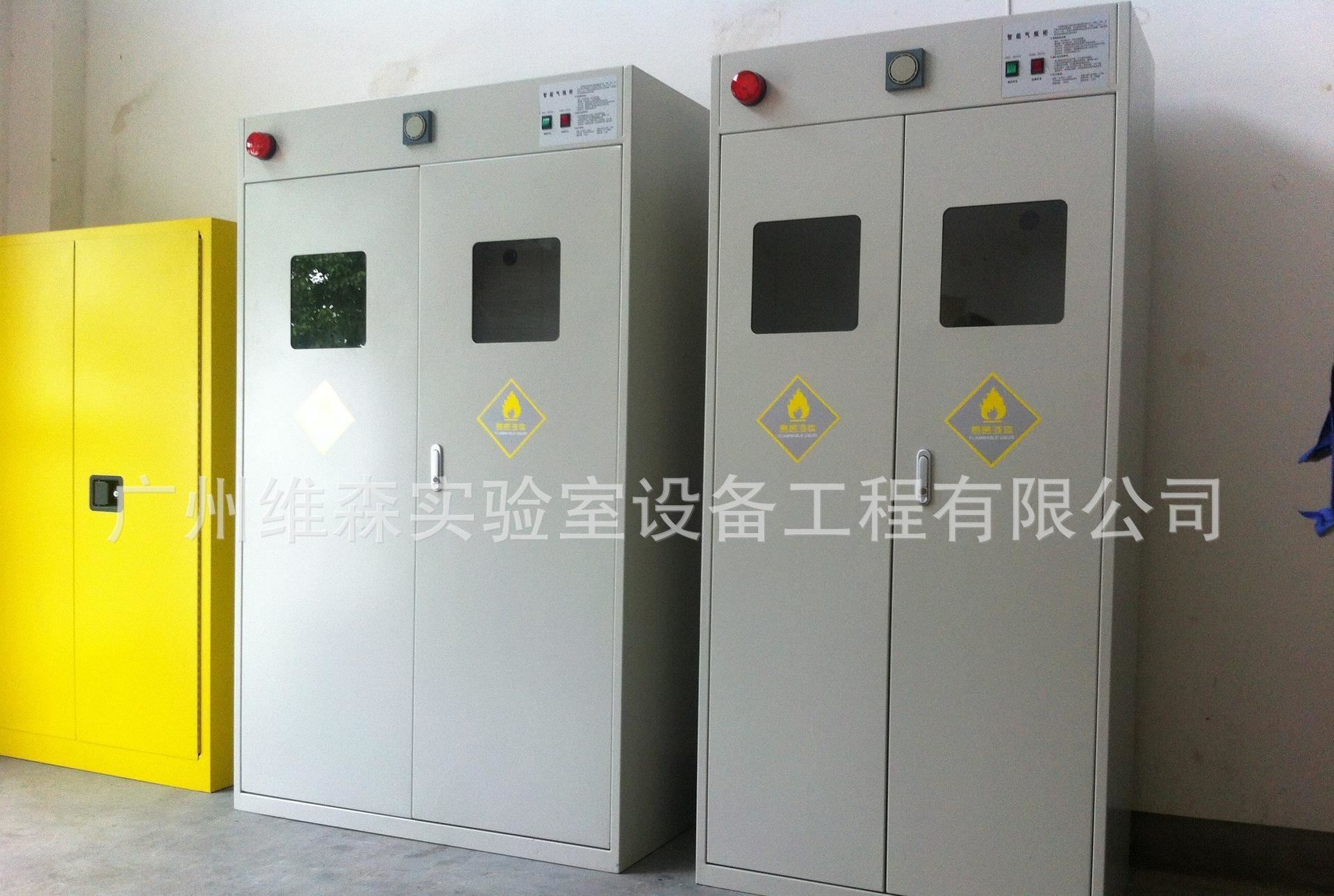 氣瓶柜 鋼瓶柜 實驗室設備 全鋼制實驗室家具廠家 工廠直銷示例圖3