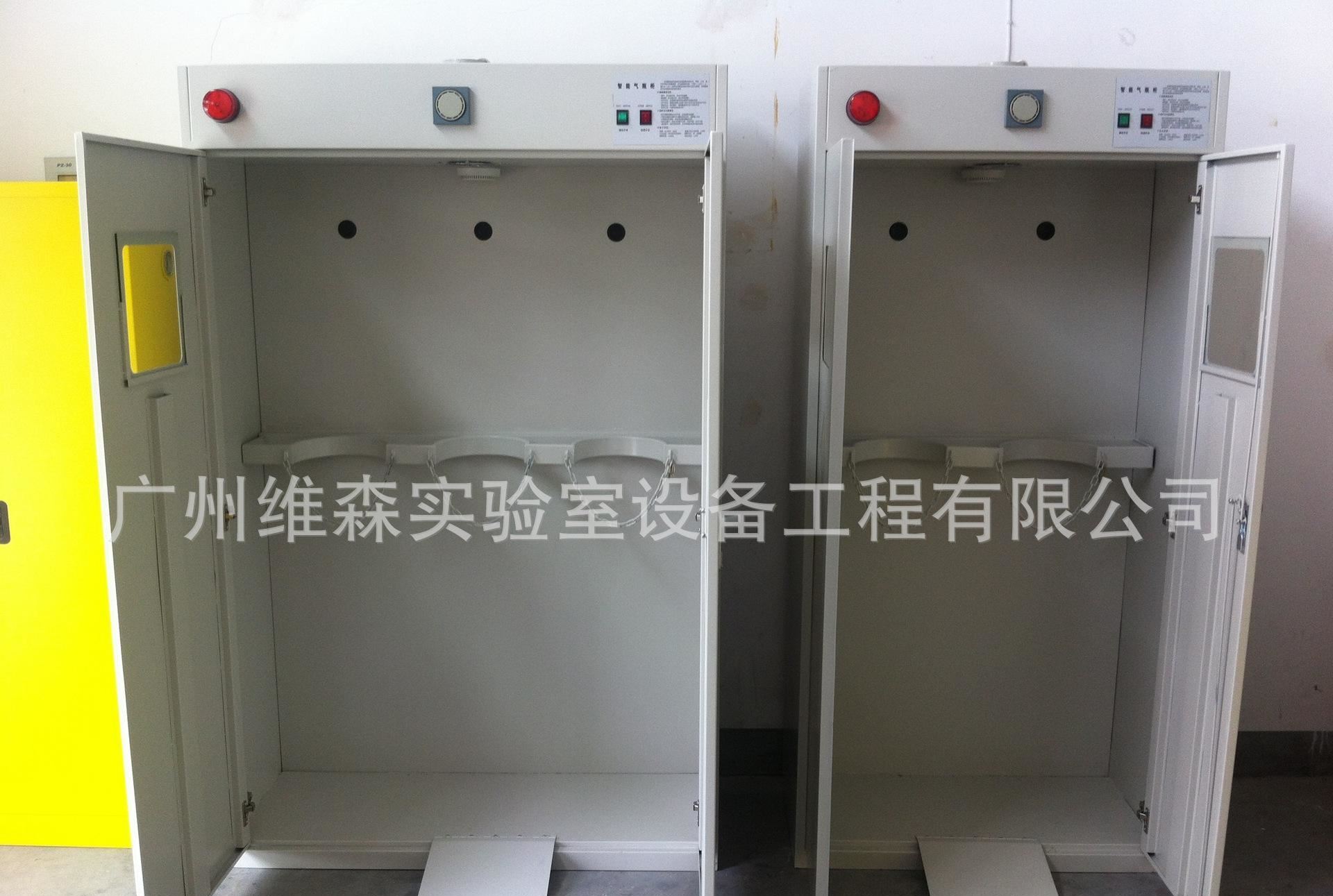 氣瓶柜 鋼瓶柜 實驗室設備 全鋼制實驗室家具廠家 工廠直銷示例圖4
