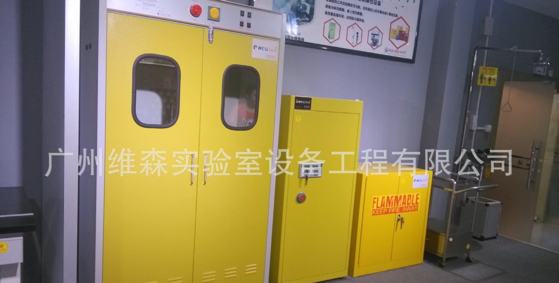 氣瓶柜 鋼瓶柜 實驗室設備 全鋼制實驗室家具廠家 工廠直銷示例圖5