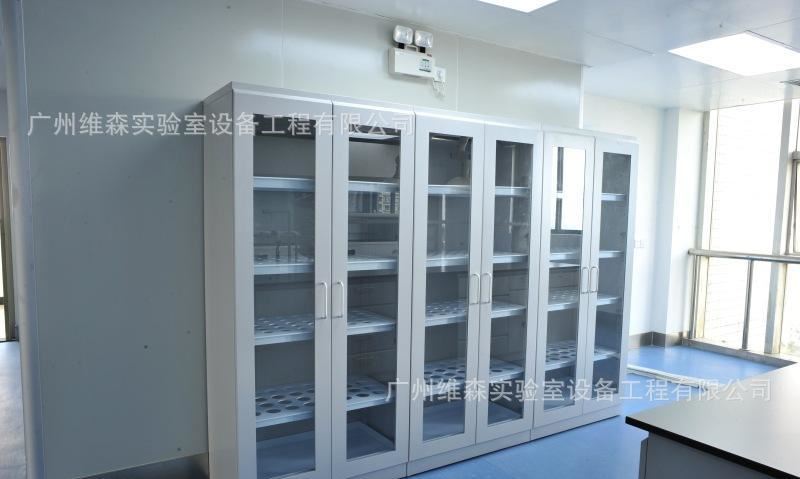 氣瓶柜 鋼瓶柜 實驗室設備 全鋼制實驗室家具廠家 工廠直銷示例圖6