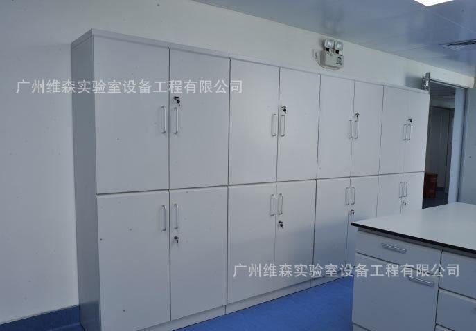 氣瓶柜 鋼瓶柜 實驗室設備 全鋼制實驗室家具廠家 工廠直銷示例圖8