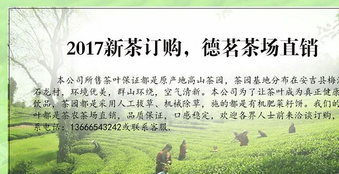 西湖龍井綠茶2017年新茶葉明前特級(jí)散茶高山春茶產(chǎn)地茶廠批發(fā)示例圖3