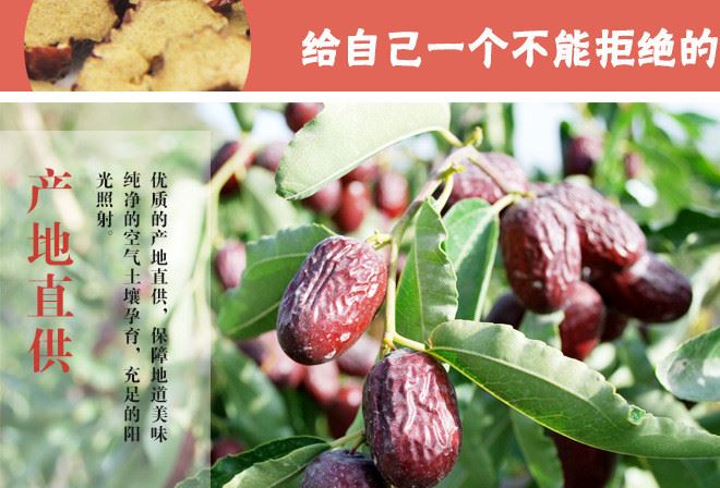 西游記食品 新疆無(wú)核棗片 即食紅棗干 泡茶棗干58g袋裝休閑零食示例圖5