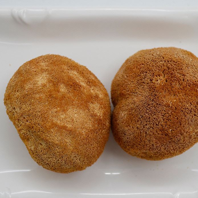 大山深處特產食用菌猴頭菇批發猴頭菇干貨散裝批發產地直銷猴頭菇示例圖2