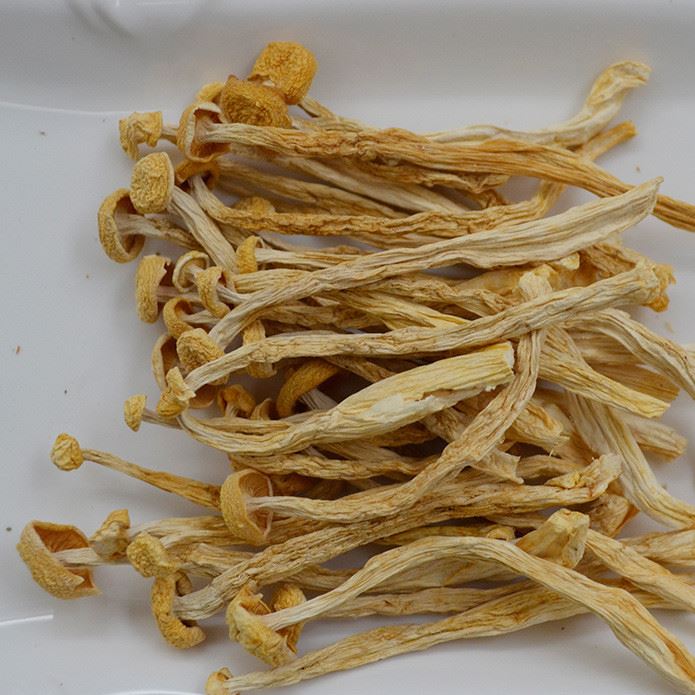 福建古田食用菌海鮮菇干貨散裝批發(fā)  500g起批示例圖4