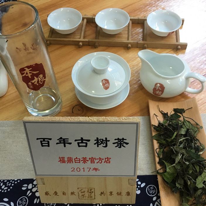 百年古樹 珍稀白茶 深山荒野老樅古樹 福鼎白茶散茶 1斤裝示例圖4