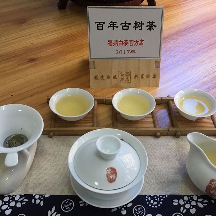 百年古樹 珍稀白茶 深山荒野老樅古樹 福鼎白茶散茶 1斤裝示例圖6