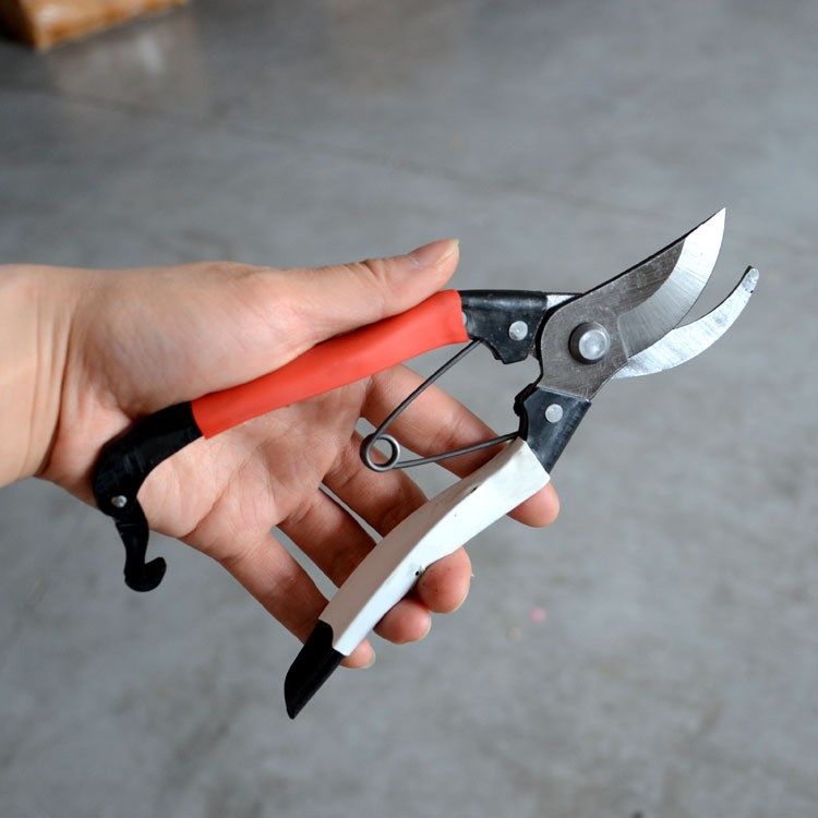 五金工具 果剪 果枝剪 红梅剪刀 经济实惠 家用修枝剪 园艺工具