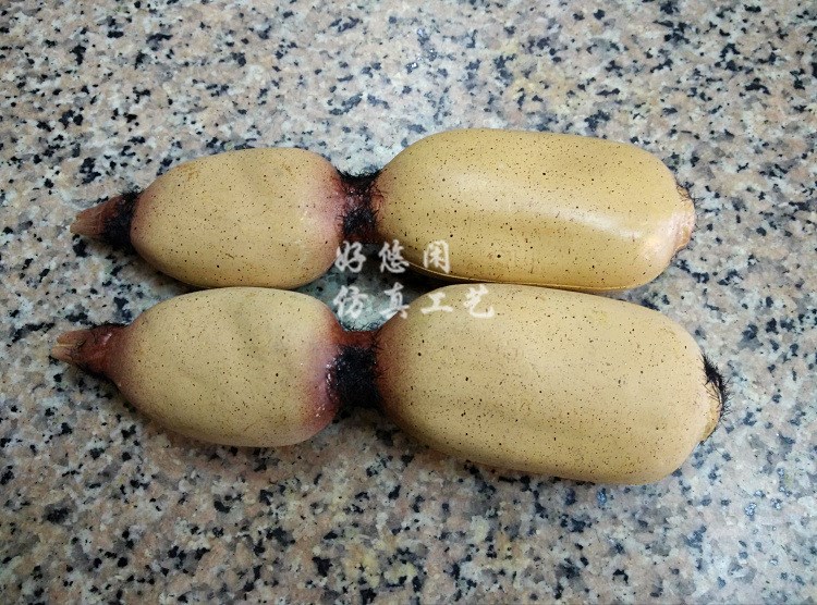 仿真莲藕假莲藕模型仿真水果蔬菜模型塑胶摄影早教道具农家乐装饰