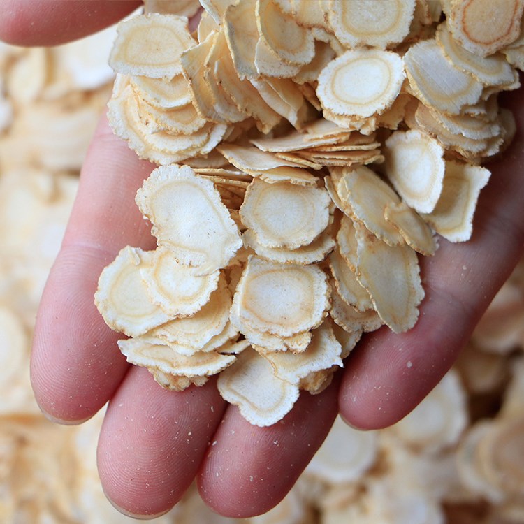 【含片西洋参】吉林长白山西洋参片切片花旗参含片加拿大西洋参批发一