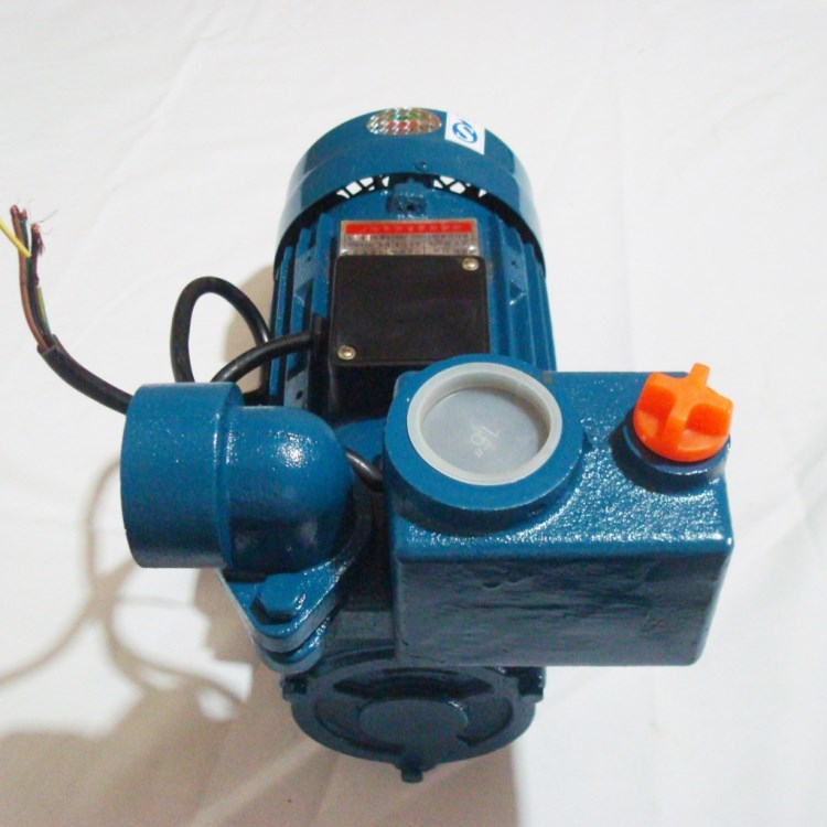 5kw自吸泵 井用农用大流量高扬程 自吸水泵