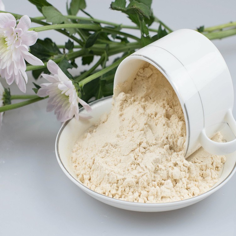 供应商机 厨卫 食品机械 果酱果粉 喷雾干燥水果粉 香蕉果汁粉-纯天然