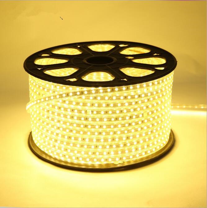 5050led灯带1米60珠防水防电高压led软灯带 高亮灯带220v超亮