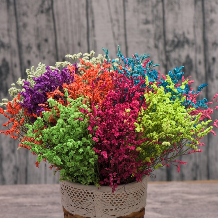 特价水晶草 干花批发 鲜花批发 花店 淘宝 干花店 专供