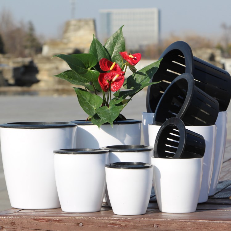 批发懒人盆送定植篮黑白自吸水花盆圆形绿萝盆 盆栽植物水培花盆