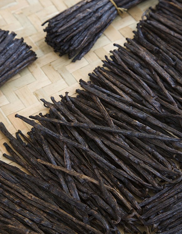 马达加斯加香草荚 香荚兰豆8-13 18-20 14-17厘米厂价直销香草棒