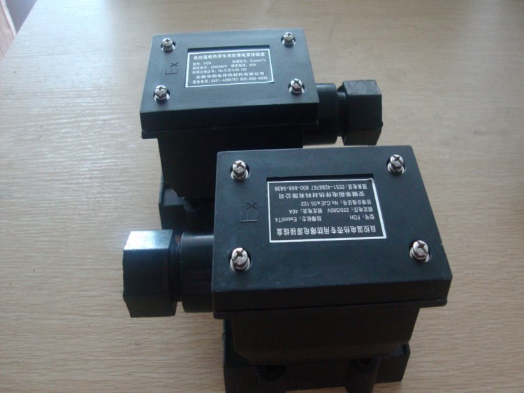 供应伴热带专用防爆电源接线盒fdh ip65伴热电缆接线盒