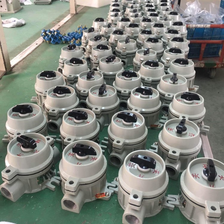 防爆灯开关 sw-10防爆单联单控照明开关 墙壁式开关