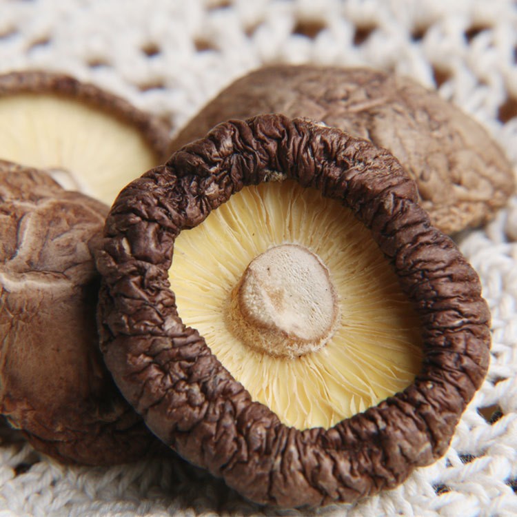 0-3.5干货食用菌腾盛食品贴牌代加工一件代发