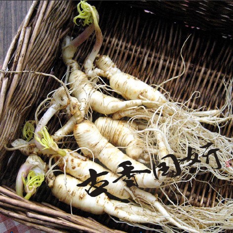 无添加人参药露化妆水纯露爽肤水鲜参蒸馏人参纯露