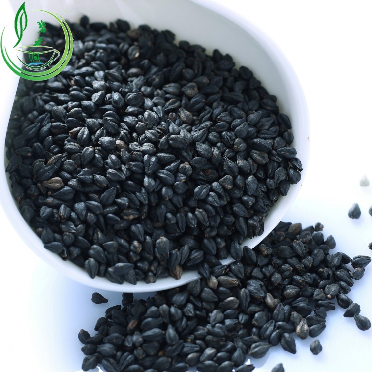 碧云涧新茶散装茶叶大凉山苦荞茶麦香苦荞麦茶高山黑胚芽一件代发