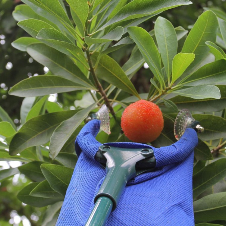 批发水果采摘工具 2米杨梅李子采摘手 樱桃枇杷摘果器 杨梅采摘手