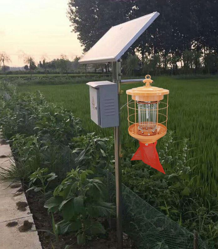 能杀虫(能杀虫又能杀卵的农药有哪些)