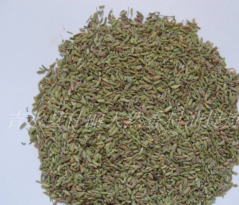 厂家小茴香单方精油批发 植物小茴香精油供应oem加工