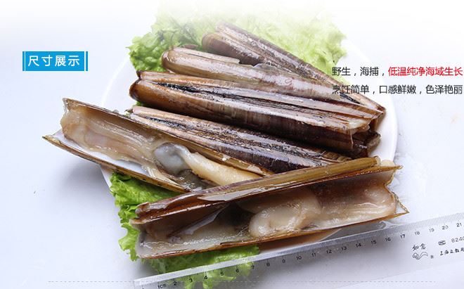 蛏 蛏子怎么读
