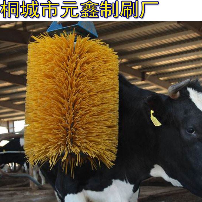 否跨境货源10净重可按规格定制刷毛厚度可按规格定制刷子用途可按规格