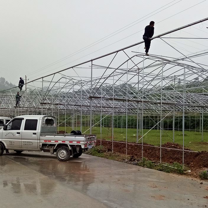 廠家直銷熱鍍鋅鋼管連體蔬菜溫室大棚溫室大棚養殖連棟大棚批發