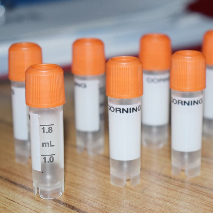 可立外旋冻存管2.0ml[corning 430659] 50支/包 10包/箱